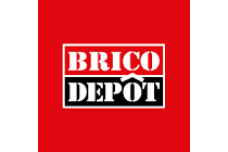 BricoDepot.ro